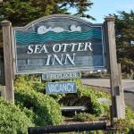 Cambria_0163 (November 05, 2011)